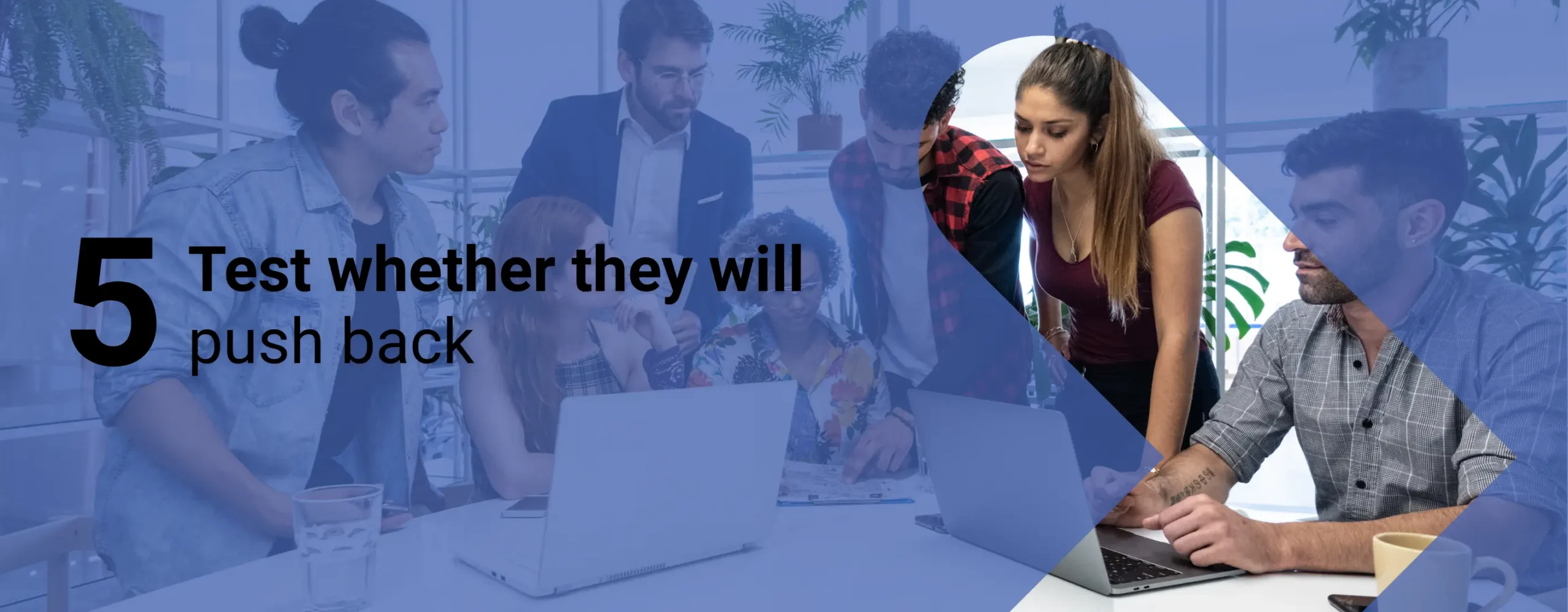 A nonprofit decision-maker learning their process before working with an agency with overlay text that reads, “Test whether they will push back”