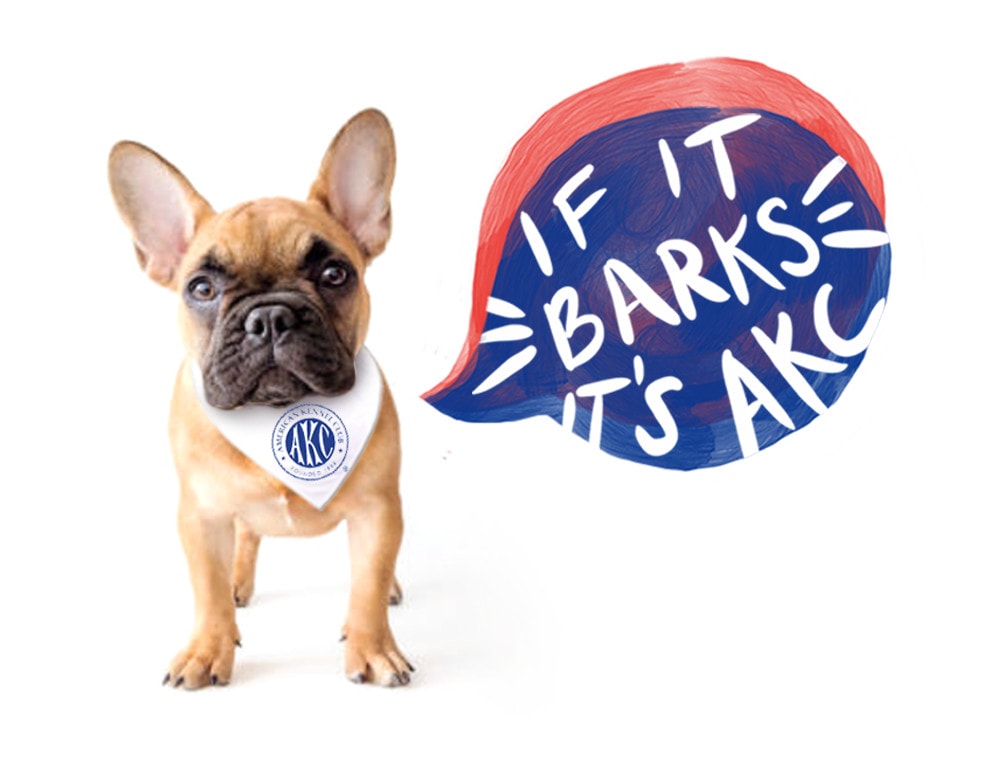 If iT barks