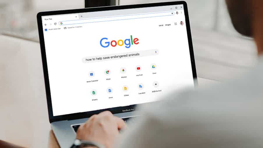 picture of person on laptop performing a google search