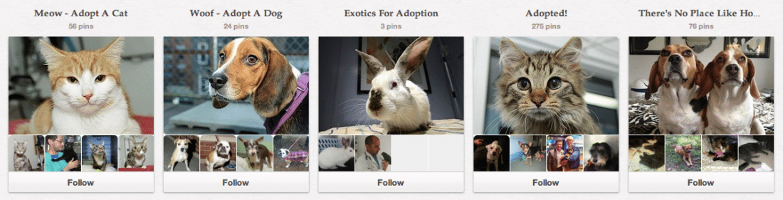 Pinterest board animal examples. From left to right: "Meow - Adopt a Cat" "Woof - adopt a dog" "Exotics for adoption" Adopted "There's no place like home.