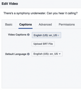 Add Facebook Video Subtitles: upload SRT file