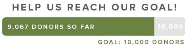 fundraising-email-tactics