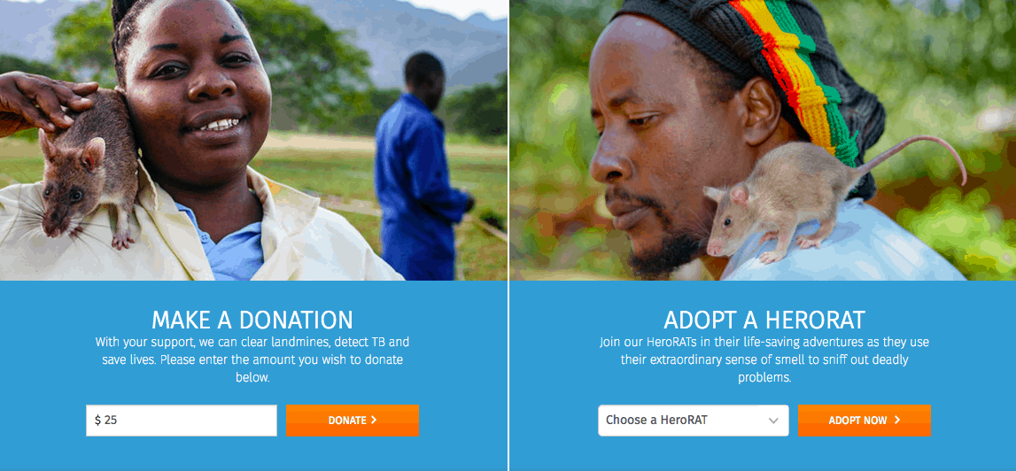 fundraising email tactics