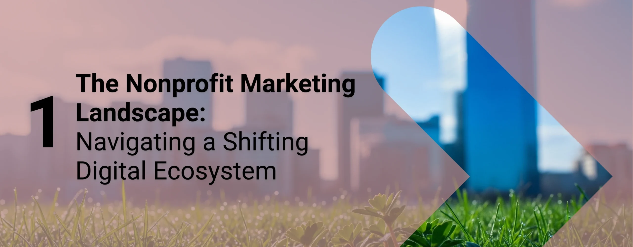 A thriving ecosystem in front of a city skyline with overlaid text that reads, “The Nonprofit Marketing Landscape: Navigating a Shifting Digital Ecosystem”
