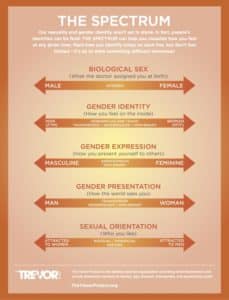 chart showcasing the spectrum of biological sex, gender identity, gender expression, gender presentation, and sexual orientation