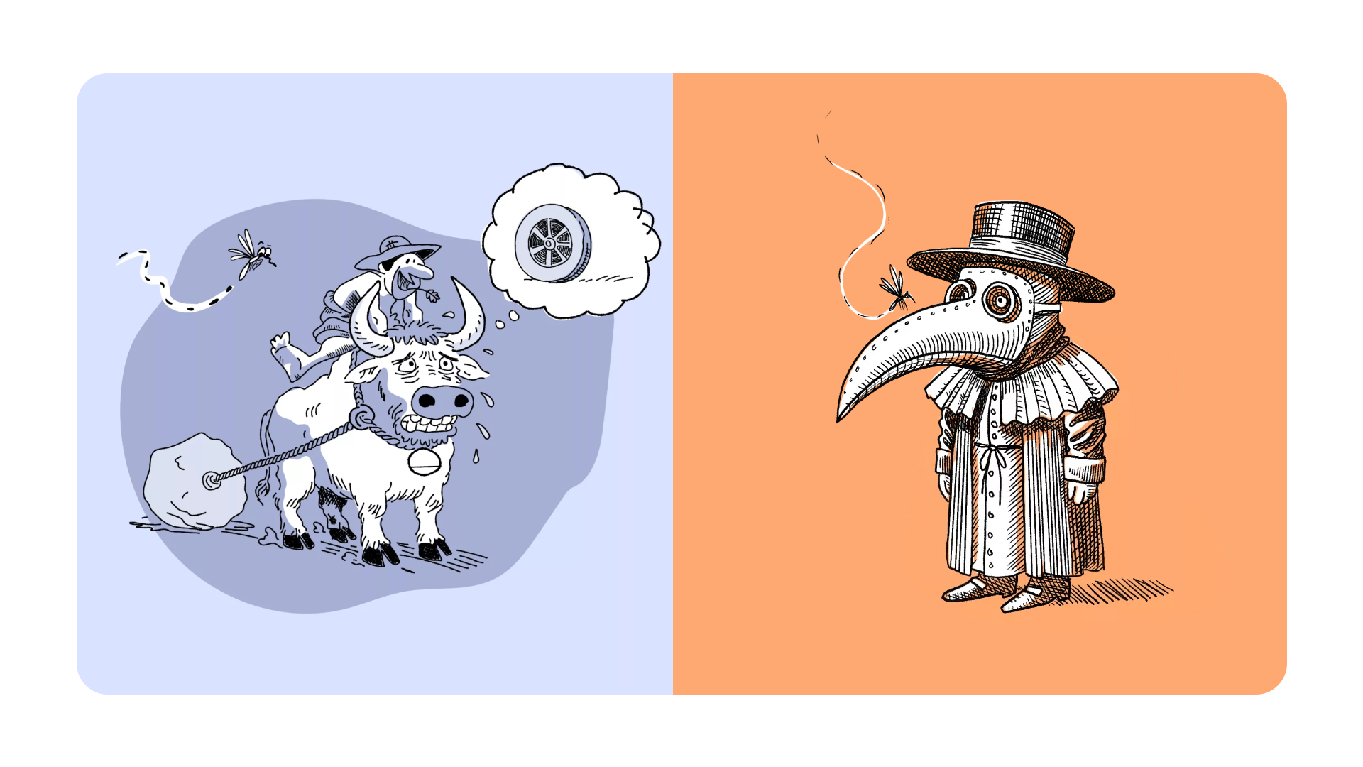 600% Increase in Site Visits for Mosquito Control Awareness Hub