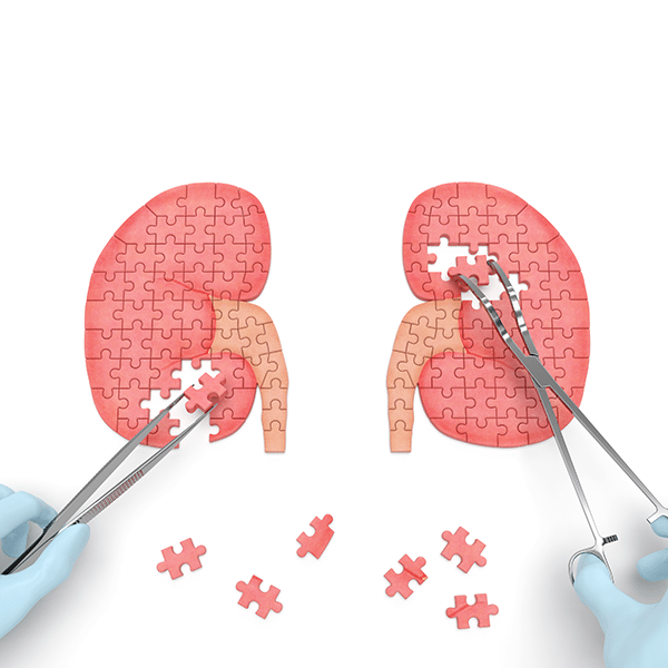 Growing a Nonprofit’s Email List with Google Ad Grants & Facebook Ads