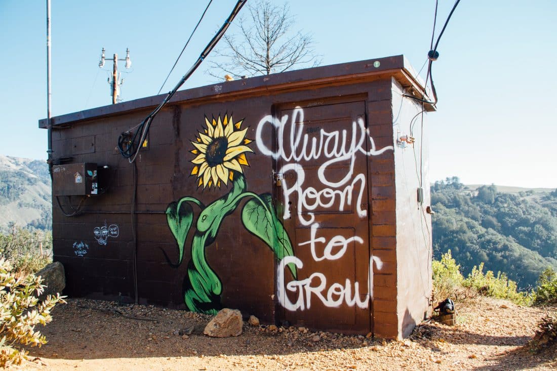 Always Room to Grow Graffiti