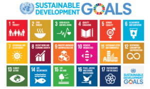 UN 17 sustainable development goals and graphic icons